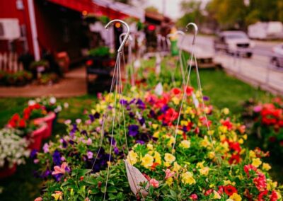 Shallow Focus Photography of Red and Yellow Flower Baskets