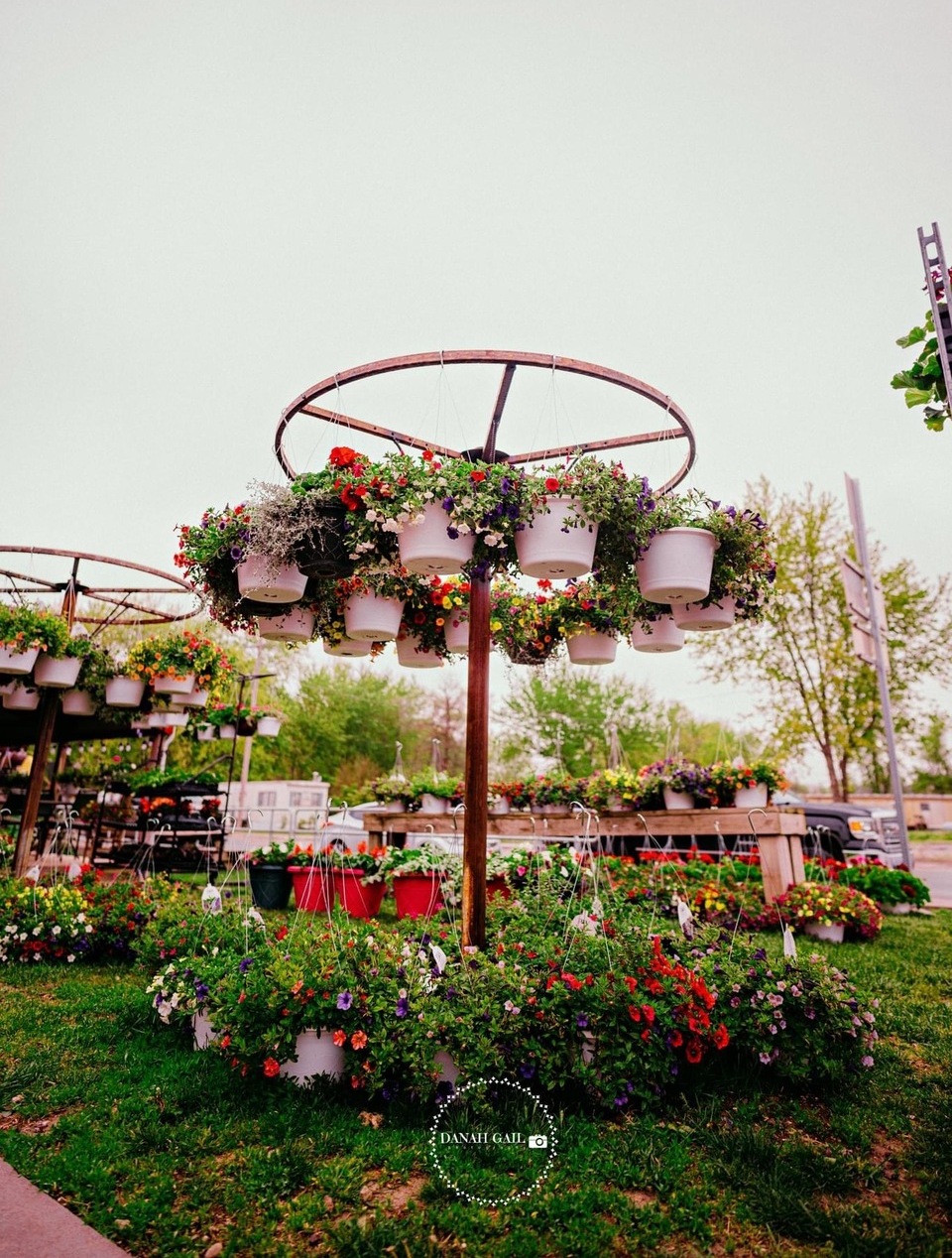 Outdoor hanging flower baskets on sale at Wildflower Grove